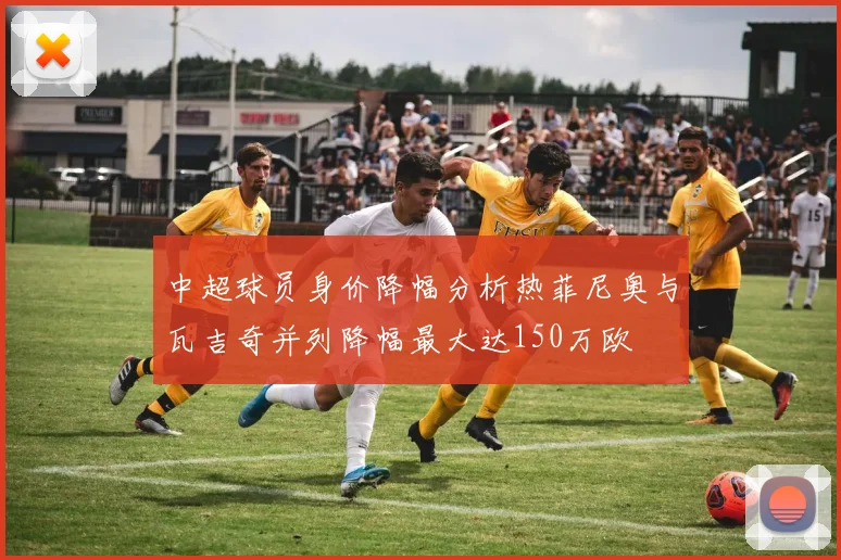 中超球员身价降幅分析热菲尼奥与瓦吉奇并列降幅最大达150万欧